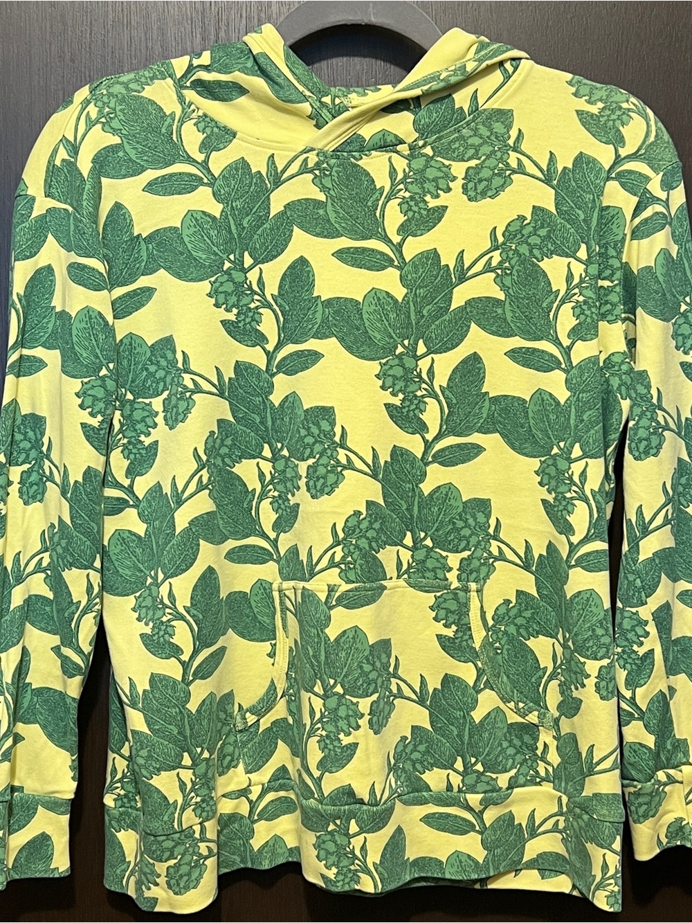Kate Quinn Kanga Boxy Hoodie Manzanita Size Small